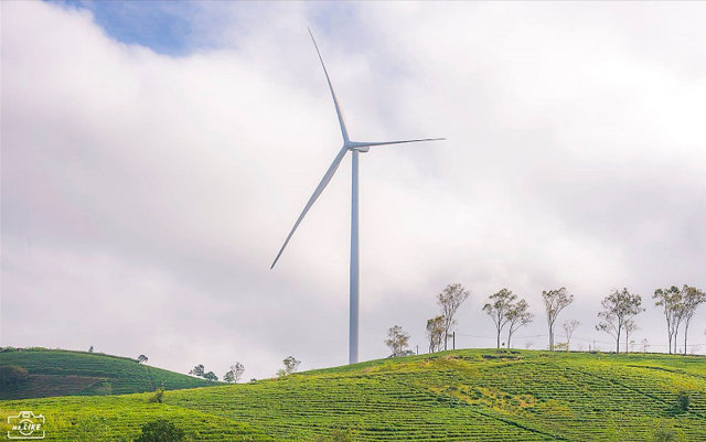 Đà Lạt có thêm 2 dự án điện gió tổng vốn đầu tư hơn 4.300 tỷ đồng - Ảnh 1