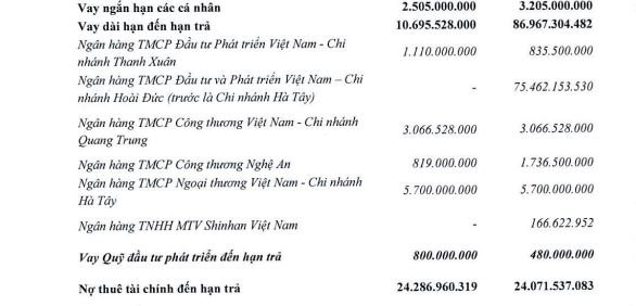 Quốc tế Sơn Hà (SHI): Lợi nhuận giảm đến 38%, chi phí lãi vay tăng vọt - Ảnh 5