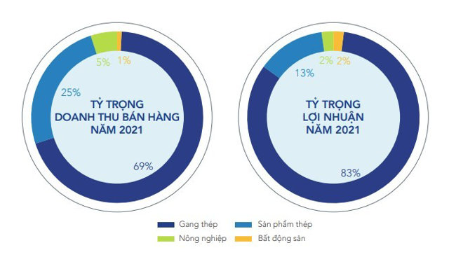 Phân tích tài chính doanh nghiệp: Góc nhìn thực tiễn từ “vua thép” Hòa Phát doanh thu từ mảng kinh doanh BĐS - Ảnh 4