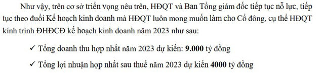 Kế hoạch kinh doanh năm 2023 của Đ&ocirc; thị Kinh Bắc.
