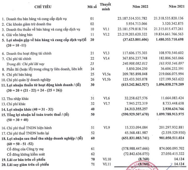 B&aacute;o c&aacute;o kết quả hoạt động kinh doanh hợp nhất năm 2022 sau kiểm to&aacute;n.