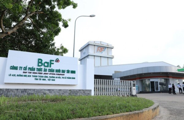 BaF Việt Nam (BAF): Cựu Chủ tịch HĐQT Phan Ngọc Ấn thoái hết vốn, rút khỏi HĐQT.