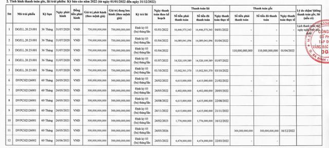 DOJI báo lãi tăng 336% trong năm nhiều doanh nghiệp gặp khó - Ảnh 3