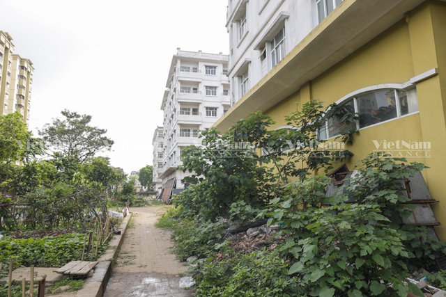 Dự án nhà ở tái định cư nằm 'phơi sương' nhiều năm ở Sài Đồng, Hà Nội - Ảnh 12
