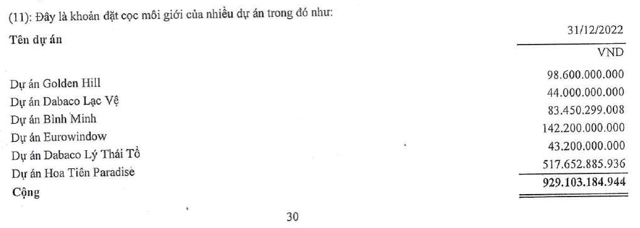 Bất động sản Thế Kỷ âm thầm đặt cọc nhiều dự án trong năm 2022 - Ảnh 2