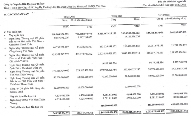 Bất động sản Thế Kỷ âm thầm đặt cọc nhiều dự án trong năm 2022 - Ảnh 4