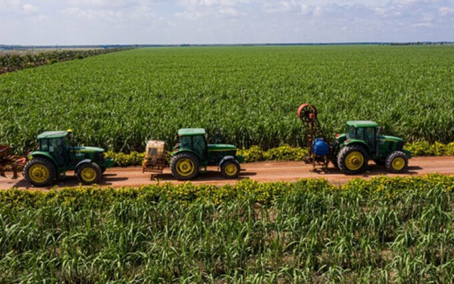 C&aacute;nh đồng m&iacute;a của TTC AgriS.