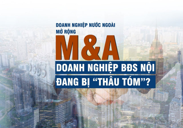 Nhà đầu tư nước ngoài mở rộng M&A dự án - Ảnh 1