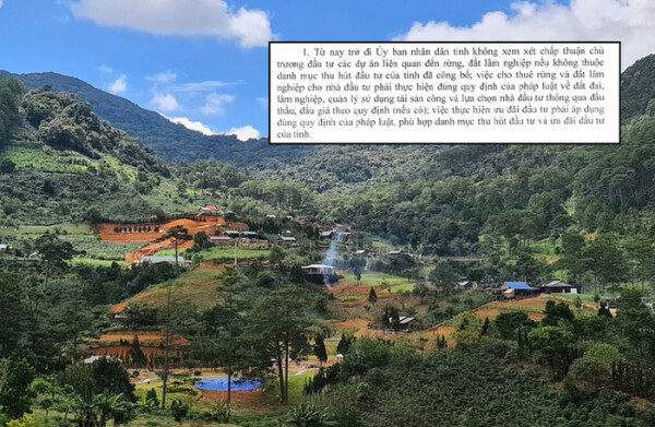 Từ nay trở đi, tỉnh Lâm Đồng không xem xét chấp thuận chủ trương đầu tư các dự án liên quan đến đất rừng, đất lâm nghiệp. (Ảnh minh họa)