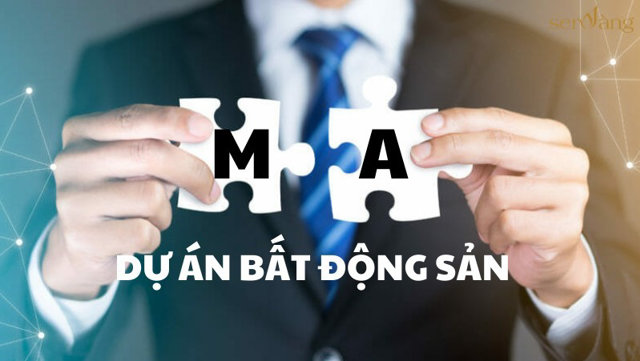 M&A bất động sản Việt Nam được nhà đầu tư nước ngoài săn đón - Ảnh 1