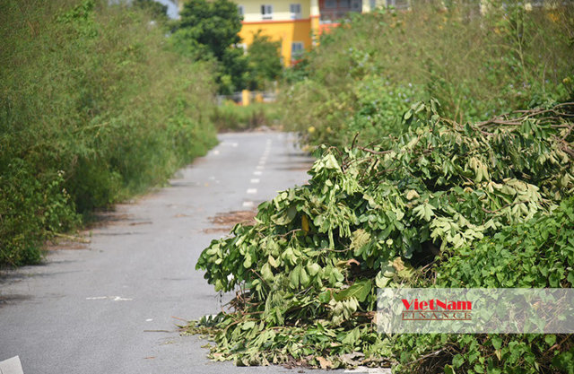 Hà Nội: Cận cảnh khu 'đất vàng' 2,7ha sắp đấu giá, mức khởi điểm gần 80 triệu đồng/m2 - Ảnh 6