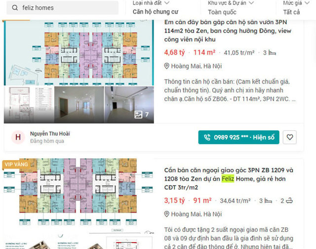 Dự án Feliz Homes Hoàng Mai của KLB có xứng tầm như những lời quảng cáo? - Ảnh 3