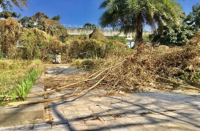 Nơi được mệnh danh là ‘lá phổi xanh’ của Thủ đô rơi vào cảnh hoang tàn, ô nhiễm - Ảnh 6