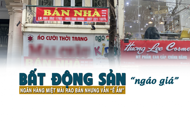 Bất động sản "ngáo giá", ngân hàng miệt mài rao bán nhưng vẫn "ế ẩm" - Ảnh 1