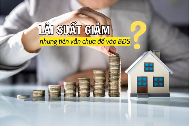 Vì sao dòng tiền vẫn chưa đổ vào lĩnh vực bất động sản? - Ảnh 1