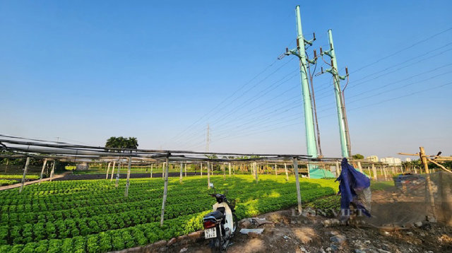 Cận cảnh 'siêu' dự án chậm tiến độ 15 năm vẫn 'nằm trên giấy' - Ảnh 5