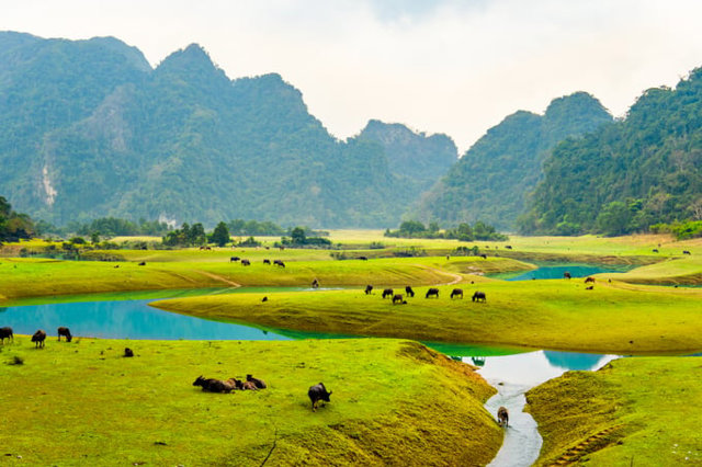 Thảo nguy&ecirc;n Đồng L&acirc;m Hữu Li&ecirc;n - Lạng Sơn