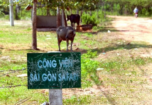 Vị trí 6 khu đất được đề xuất làm công viên ở Sài Gòn - Ảnh 3