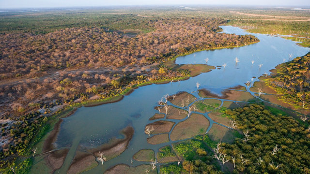 Vườn Quốc gia Okavango Delta