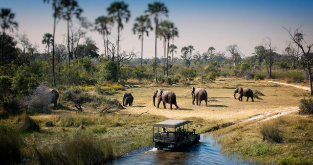 ưVườn Quốc gia Chobe