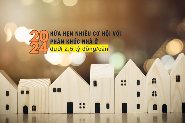 Năm 2024 hứa hẹn nhiều cơ hội hơn với phân khúc nhà ở dưới 2,5 tỷ đồng/căn - Ảnh 1