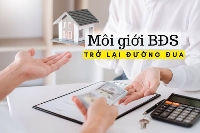 Nhiều sàn giao dịch bất động sản trở lại đường đua - Ảnh 1