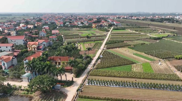 Hàng trăm thửa đất tại huyện ven Hà Nội ‘rục rịch’ lên sàn với giá khởi điểm trên 75 triệu đồng/m2 - Ảnh 1