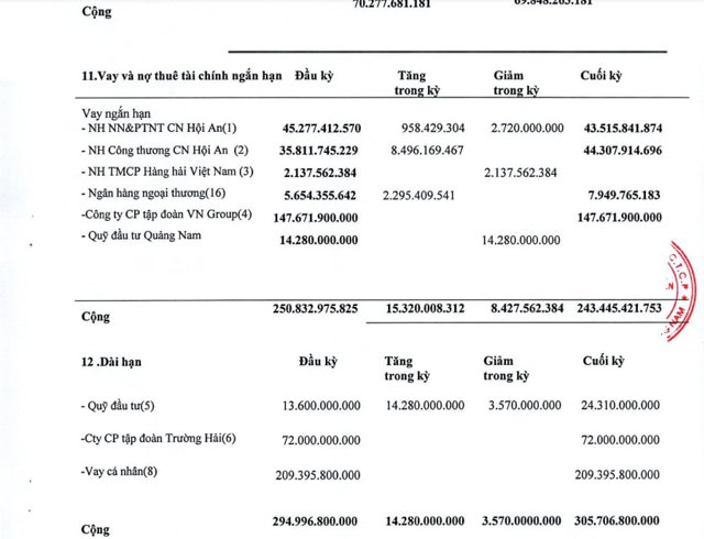 Nợ lớn hơn vốn chủ sở hữu 6 lần, hé lộ 'danh sách' chủ nợ của DIC Hội An - Ảnh 1