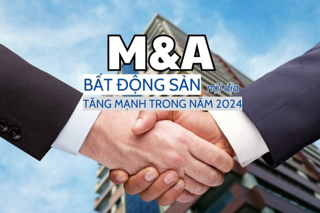 M&A nội tăng mạnh trong năm 2024 - Ảnh 1