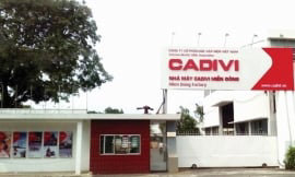 CADIVI: Doanh thu gần 2.500 tỷ, vay nợ hơn 2.900 tỷ đồng - Ảnh 1