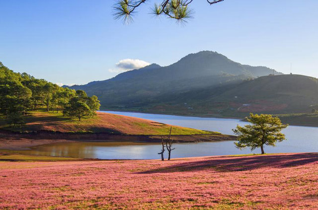 Khu du lịch quốc gia Đankia - Suối v&agrave;ng l&agrave; một trong những dự &aacute;n trọng t&acirc;m, trọng điểm của tỉnh L&acirc;m Đồng.