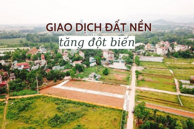 Nhà đầu tư đất nền vào cuộc săn đất - Ảnh 1