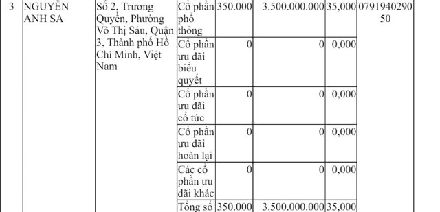 Nhận diện tổ chức mới 'thế chân' Tân Hoàng Minh, tái khởi động những dự án 'đất vàng' - Ảnh 2