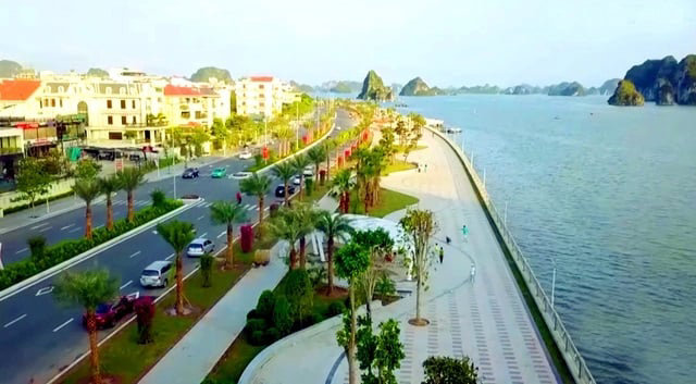 Quảng Ninh: Rà soát loạt dự án cây xanh theo yêu cầu của Bộ Công an - Ảnh 1