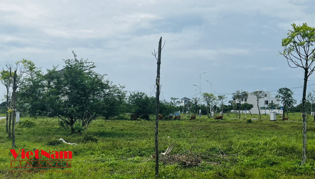 Cảnh hoang lạnh tại khu đô thị 400ha gần biên giới Việt - Trung - Ảnh 8