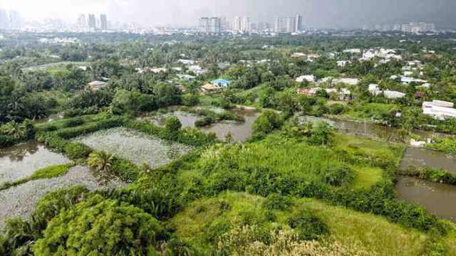 Bán đảo Bình Quới - Thanh Đa ở TP.HCM sẽ trở thành công viên cây xanh hơn 200ha - Ảnh 1