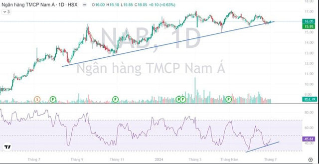 Lợi nhuận dự kiến tạo đỉnh mới, Nam A bank chia cổ tức lên đến 25% - Ảnh 1