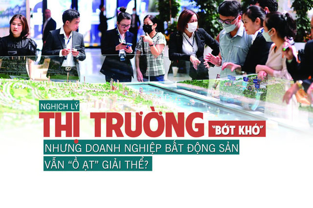 Nghịch lý: Thị trường “bớt khó” nhưng doanh nghiệp bất động sản vẫn “ồ ạt” giải thể? - Ảnh 1