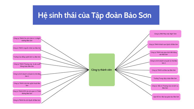 Hệ sinh th&aacute;i Tập đo&agrave;n Bảo Sơn. (Ảnh: H&agrave; Giang)