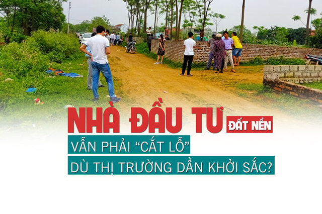 Nhà đầu tư đất nền vẫn “cắt lỗ” để thoát hàng dù thị trường dần khởi sắc? - Ảnh 1