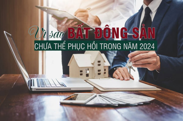 Vì sao bất động sản chưa thể hồi phục trong năm 2024? - Ảnh 1