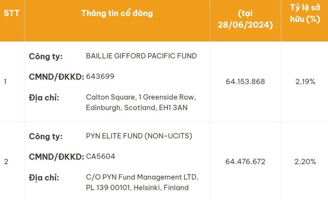 Nữ tỷ phú Nguyễn Thị Phương Thảo nắm bao nhiêu vốn tại HDBank? - Ảnh 1