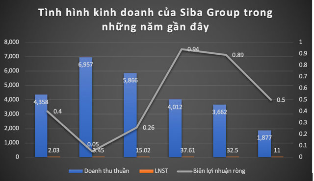 Doanh thu của Siba Group đ&atilde; đi l&ugrave;i 5 năm li&ecirc;n tiếp, &nbsp;