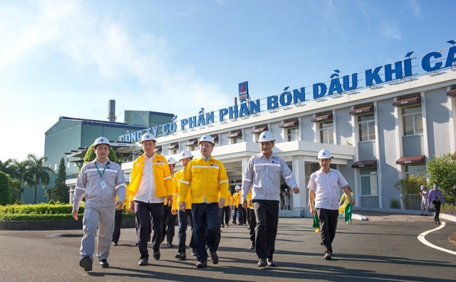 Đạm Cà Mau 'tiền đầy túi': Thâu tóm KVF thu lợi trăm tỷ, hơn 10.000 tỷ gửi ngân hàng - Ảnh 1