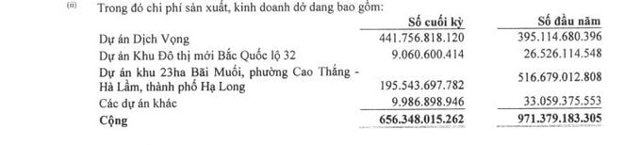 Tr&iacute;ch BCTC qu&yacute; II/2024 của Lideco &nbsp;