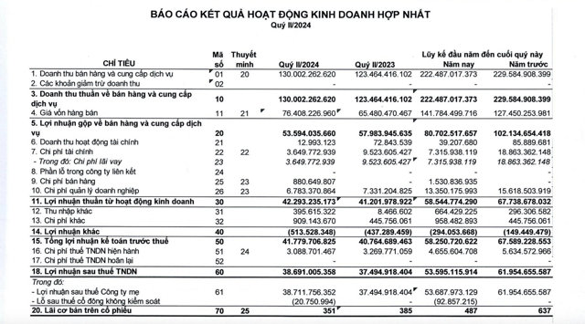 B&aacute;o c&aacute;o t&agrave;i ch&iacute;nh qu&yacute; II/2024 &nbsp;