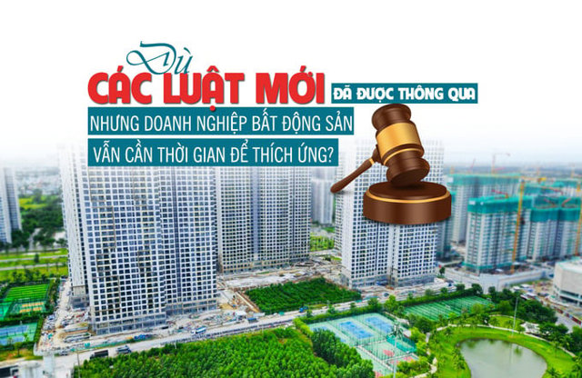 Dù các Luật mới đã được thông qua nhưng doanh nghiệp bất động sản vẫn cần thời gian để thích ứng? - Ảnh 1