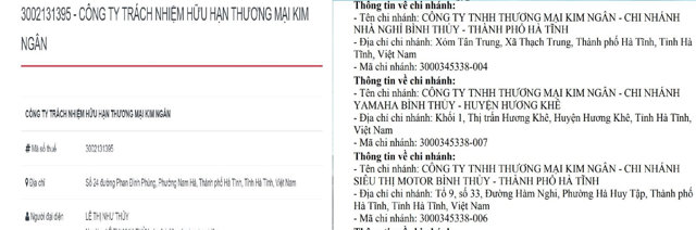 Kim Ng&acirc;n l&agrave; chủ chuỗi cửa h&agrave;ng ph&acirc;n phối ba thương hiệu xe m&aacute;y Honda, Yamaha, Piaggio tr&ecirc;n địa b&agrave;n H&agrave; Tĩnh... &nbsp;