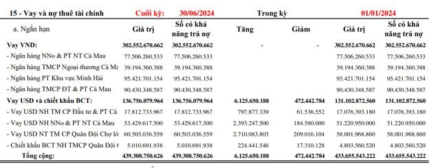 C&aacute;c nh&agrave; băng đang bị kẹt vốn tại&nbsp;Cadovimex