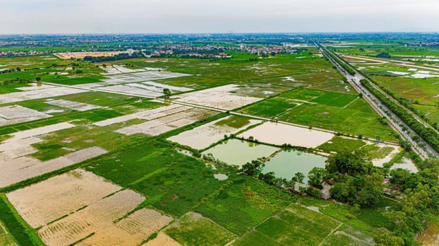 Khu đ&ocirc; thị Mỹ Hưng vẫn c&ograve;n l&agrave; đồng ruộng, chưa động th&aacute;i thi c&ocirc;ng. Ảnh: Ngọc Đẹp